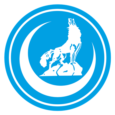 Ulkucu Radyo
